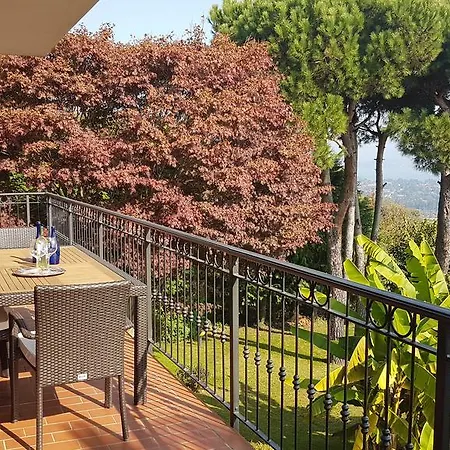 Radiosa Nebbiuno